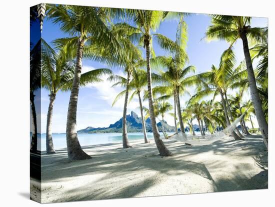 Hammock at Bora Bora, Tahiti-null-Stretched Canvas