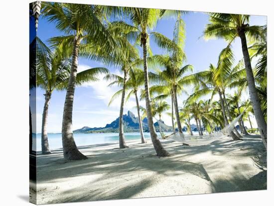 Hammock at Bora Bora, Tahiti-null-Stretched Canvas