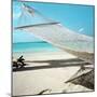 Hammock at the Beach-null-Mounted Premium Photographic Print
