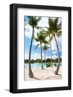 Hammock between Palm Trees at Beach on Bora Bora-BlueOrange Studio-Framed Photographic Print