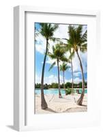 Hammock between Palm Trees at Beach on Bora Bora-BlueOrange Studio-Framed Photographic Print