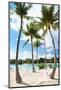 Hammock between Palm Trees at Beach on Bora Bora-BlueOrange Studio-Mounted Photographic Print