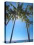 Hammock Between Palm Trees on Beach, Bali, Indonesia, Southeast Asia, Asia-Sakis Papadopoulos-Stretched Canvas