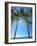 Hammock Between Palm Trees on Beach, Bali, Indonesia, Southeast Asia, Asia-Sakis Papadopoulos-Framed Photographic Print