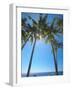 Hammock Between Palm Trees on Beach, Bali, Indonesia, Southeast Asia, Asia-Sakis Papadopoulos-Framed Photographic Print