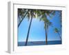 Hammock Between Palm Trees on Beach, Bali, Indonesia, Southeast Asia, Asia-Sakis Papadopoulos-Framed Photographic Print