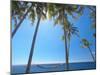 Hammock Between Palm Trees on Beach, Bali, Indonesia, Southeast Asia, Asia-Sakis Papadopoulos-Mounted Photographic Print