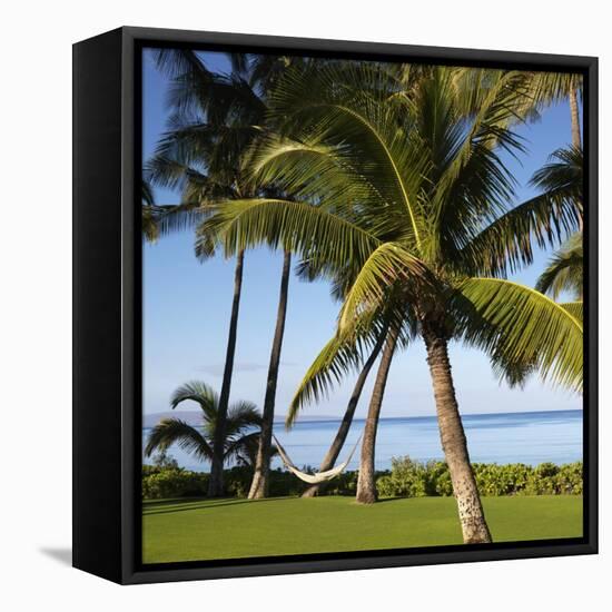 Hammock Between Two Palms-Ron Chapple-Framed Stretched Canvas