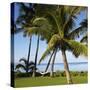Hammock Between Two Palms-Ron Chapple-Stretched Canvas