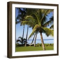 Hammock Between Two Palms-Ron Chapple-Framed Photographic Print