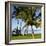 Hammock Between Two Palms-Ron Chapple-Framed Photographic Print