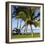 Hammock Between Two Palms-Ron Chapple-Framed Photographic Print