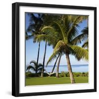 Hammock Between Two Palms-Ron Chapple-Framed Photographic Print