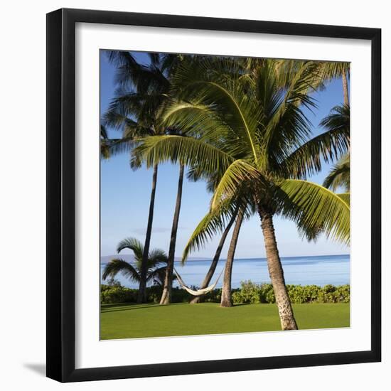 Hammock Between Two Palms-Ron Chapple-Framed Photographic Print