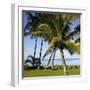 Hammock Between Two Palms-Ron Chapple-Framed Photographic Print