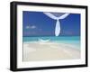 Hammock Hanging in Shallow Clear Water, the Maldives, Indian Ocean, Asia-Sakis Papadopoulos-Framed Photographic Print