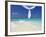 Hammock Hanging in Shallow Clear Water, the Maldives, Indian Ocean, Asia-Sakis Papadopoulos-Framed Photographic Print