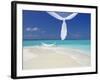 Hammock Hanging in Shallow Clear Water, the Maldives, Indian Ocean, Asia-Sakis Papadopoulos-Framed Photographic Print