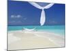 Hammock Hanging in Shallow Clear Water, the Maldives, Indian Ocean, Asia-Sakis Papadopoulos-Mounted Photographic Print
