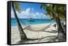 Hammock hanging on famous White Bay, Jost Van Dyke, British Virgin Islands, West Indies, Caribbean,-Michael Runkel-Framed Stretched Canvas