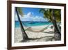 Hammock hanging on famous White Bay, Jost Van Dyke, British Virgin Islands, West Indies, Caribbean,-Michael Runkel-Framed Photographic Print