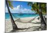 Hammock hanging on famous White Bay, Jost Van Dyke, British Virgin Islands, West Indies, Caribbean,-Michael Runkel-Mounted Photographic Print