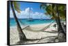 Hammock hanging on famous White Bay, Jost Van Dyke, British Virgin Islands, West Indies, Caribbean,-Michael Runkel-Framed Stretched Canvas