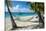 Hammock hanging on famous White Bay, Jost Van Dyke, British Virgin Islands, West Indies, Caribbean,-Michael Runkel-Stretched Canvas