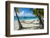 Hammock hanging on famous White Bay, Jost Van Dyke, British Virgin Islands, West Indies, Caribbean,-Michael Runkel-Framed Photographic Print