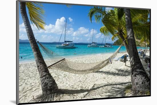 Hammock hanging on famous White Bay, Jost Van Dyke, British Virgin Islands, West Indies, Caribbean,-Michael Runkel-Mounted Photographic Print