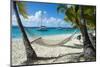 Hammock hanging on famous White Bay, Jost Van Dyke, British Virgin Islands, West Indies, Caribbean,-Michael Runkel-Mounted Photographic Print