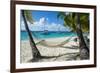 Hammock hanging on famous White Bay, Jost Van Dyke, British Virgin Islands, West Indies, Caribbean,-Michael Runkel-Framed Photographic Print