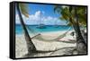 Hammock hanging on famous White Bay, Jost Van Dyke, British Virgin Islands, West Indies, Caribbean,-Michael Runkel-Framed Stretched Canvas