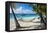 Hammock hanging on famous White Bay, Jost Van Dyke, British Virgin Islands, West Indies, Caribbean,-Michael Runkel-Framed Stretched Canvas