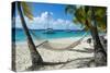 Hammock hanging on famous White Bay, Jost Van Dyke, British Virgin Islands, West Indies, Caribbean,-Michael Runkel-Stretched Canvas