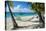 Hammock hanging on famous White Bay, Jost Van Dyke, British Virgin Islands, West Indies, Caribbean,-Michael Runkel-Stretched Canvas