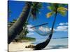 Hammock Hanging Seaside-Randy Faris-Stretched Canvas