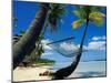 Hammock Hanging Seaside-Randy Faris-Mounted Premium Photographic Print