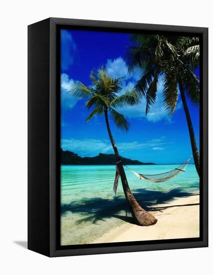 Hammock Hanging Seaside-Randy Faris-Framed Stretched Canvas