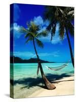 Hammock Hanging Seaside-Randy Faris-Stretched Canvas