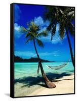 Hammock Hanging Seaside-Randy Faris-Framed Stretched Canvas