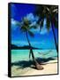 Hammock Hanging Seaside-Randy Faris-Framed Stretched Canvas