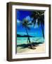 Hammock Hanging Seaside-Randy Faris-Framed Premium Photographic Print