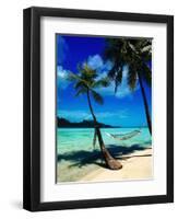 Hammock Hanging Seaside-Randy Faris-Framed Premium Photographic Print