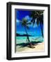 Hammock Hanging Seaside-Randy Faris-Framed Premium Photographic Print