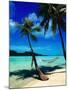 Hammock Hanging Seaside-Randy Faris-Mounted Premium Photographic Print