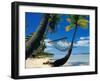 Hammock Hanging Seaside-Randy Faris-Framed Photographic Print