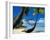 Hammock Hanging Seaside-Randy Faris-Framed Photographic Print