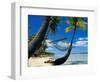 Hammock Hanging Seaside-Randy Faris-Framed Photographic Print