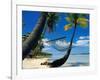 Hammock Hanging Seaside-Randy Faris-Framed Photographic Print